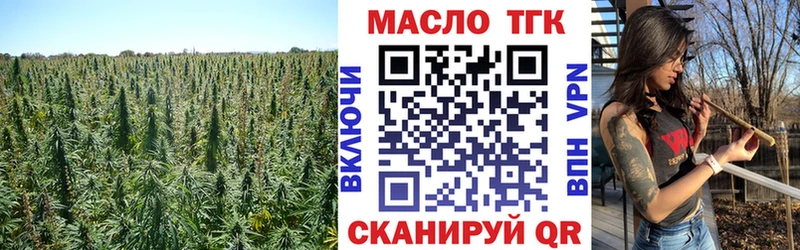 купить Ельня Дистиллят ТГК гашишное масло