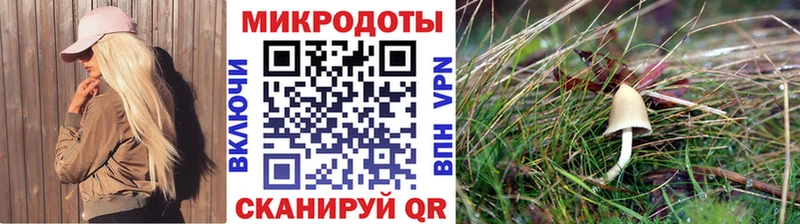 Псилоцибиновые грибы MAGIC MUSHROOMS  сайты даркнета как зайти  Ельня  omg рабочий сайт 