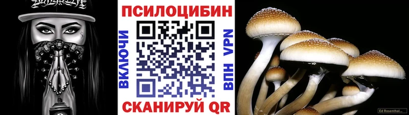 Псилоцибиновые грибы Psilocybe Ельня